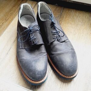 NERO GIARDINI Derby Oxford Dark Brown Shoe Lace Career Wear Sz: 13 US/ EU 46